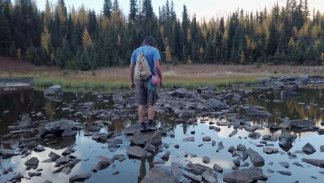 Caminante-Equilibrio-Sobre-Rocas-Del-Estanque-Mirando-Alrededor-De-Kananaskis,-Alberta,-Canadá