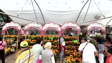 Aufnahme-Von-Menschen,-Die-Cempasuchil-Blumen-In-Den-Tianguis-Des-Tages-Der-Toten-In-Mexiko-Stadt-Kaufen