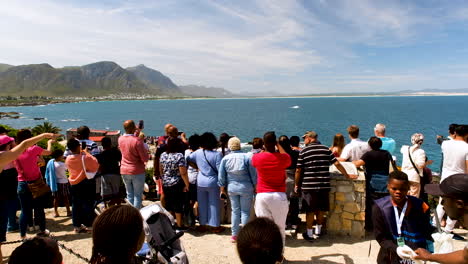 Whale-breaches-in-front-of-tourists---panoramic-view-over-bay-and-mountains