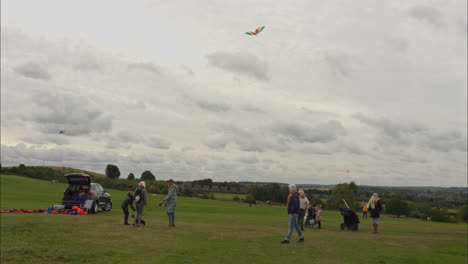 Family-and-friends-and-children-flying-kites-together-at-a-kite-festival-on-a-dull-overcast-day-
