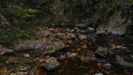 Drone-Lento-Rozando-A-Lo-Largo-Del-Río-En-Gorge-Nueva-Zelanda-Con-Arbustos,-árboles,-Rocas-Y-Agua