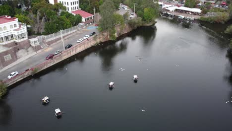 Vier-Ruderboote,-Die-Auf-Dem-Damm-De-La-Olla-Segeln,-Mit-Gruppen-Von-Weißen-Enten,-Die-Schwimmen