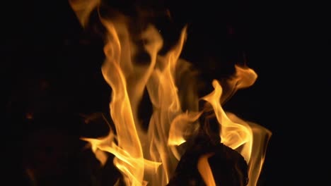 Fire-Burning-On-Black-Background.-Bonfire.-Slow-Motion
