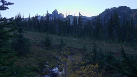 Natural-Trail-Path-Through-Pine-Forest-Mountain