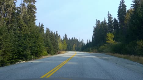 Conduciendo-Por-Una-Carretera-Con-Un-Denso-Parque-Forestal-De-Coníferas-Durante-El-Día
