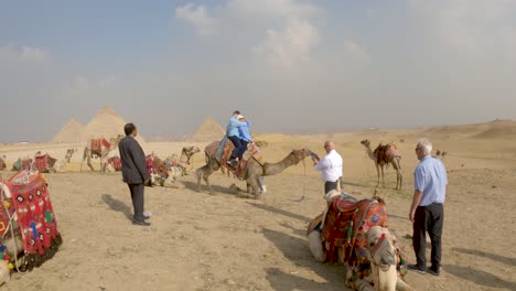 Turistas-Montando-Camellos-En-El-Desierto-Junto-A-Las-Pirámides-De-Giza-En-Un-Día-De-Servicio
