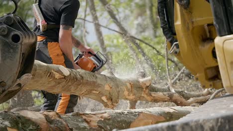Worker-Using-Orange-Electric-Chainsaw-To-Cut-Dead-Tree