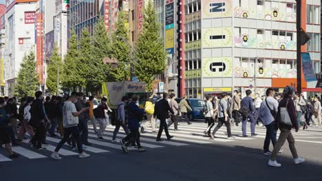 Japaner,-Die-An-Einem-Warmen-Sonnigen-Tag-Die-Straße-In-Akihabara-überqueren