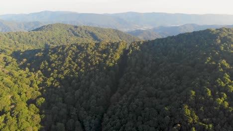 4K-Drone-Video-Flying-High-Above-Trees-in-Smoky-Mountains-near-Appalachian-Trail-along-North-Carolina-and-Tennessee-Border-on-Foggy-Morning
