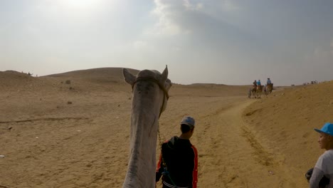 Beduinenjungen-Führen-Touristen-Auf-Kamelen-Durch-Die-Wüste---Reitersicht