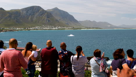 Tourists-lining-Hermanus-cliff-enjoying-sight-of-whale-that-breaches,-scenic-location-with-mountain-views-over-ocean,-Cape-Whale-Coast