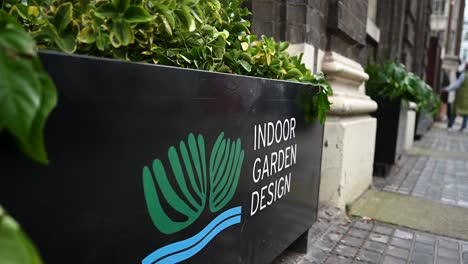 Indoor-Garden-Design,-London,-Vereinigtes-Königreich
