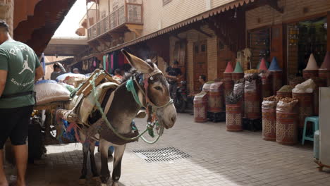Donkey-waiting-in-busy-Marrakesh-market-street,-Arabic-bazaar,-Morocco