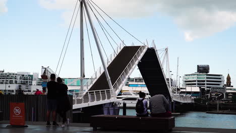 Puente-Wynyard-Levantándose-En-Auckland,-Nueva-Zelanda