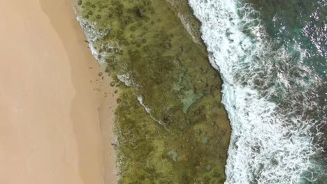 Drone-De-Arriba-Hacia-Abajo-Disparó-Sobre-La-Playa-Amami-Intacta-Que-Muestra-Un-Arrecife-Poco-Profundo