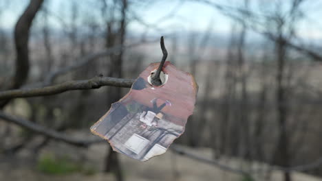 Burned-memories-after-wildfire
