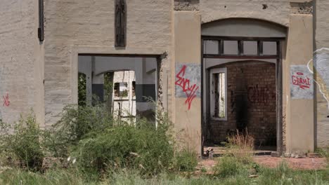 Front-facade-of-overgrown-derelict-brick-building-with-graffiti-walls