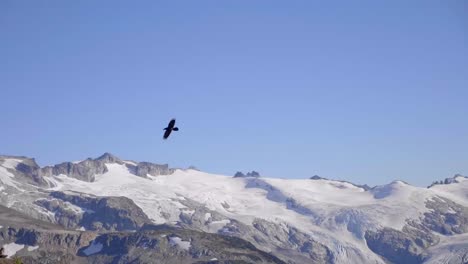 Vogel-Fliegt-In-Den-Himmel-Mit-Bergen-Und-Blauem-Himmel-Im-Hintergrund