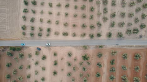 Top-down-drone-shot-of-cars-driving-through-an-arid-desert-in-Spain