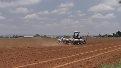 African-farmers-plant-crop-seed-in-agriculture-field-soil-on-sunny-day