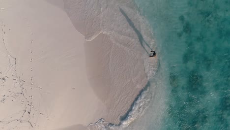 Aerial-Top-Down-Shot-girl-coming-out-water-walking-from-beach-shore-on-white-sand,-los-Roques