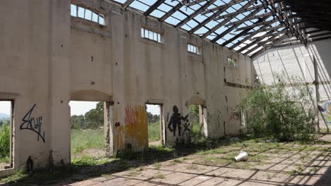 Tilt-from-absent-roof-to-tree-growing-in-abandoned-building,-graffiti