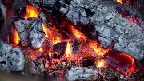 Close-up-shot-of-burning-and-hot-charcoal-coals