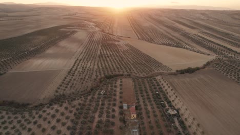 Rising-aerial-view-of-the-sun-setting-over-rural-crops-in-Spain's-Malaga-Province