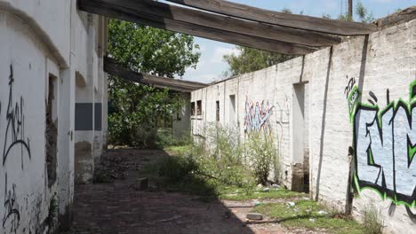 Graffiti-Farbe-Auf-Ziegelwänden-Eines-überwucherten-Verlassenen-Verlassenen-Gebäudes