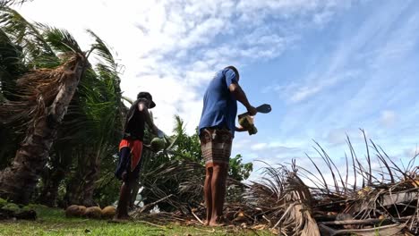 Zwei-Traditionelle-Fidschi-Männer-öffnen-Kokosnüsse-Mit-Einem-Niedrigen-Winkel-Der-Machete