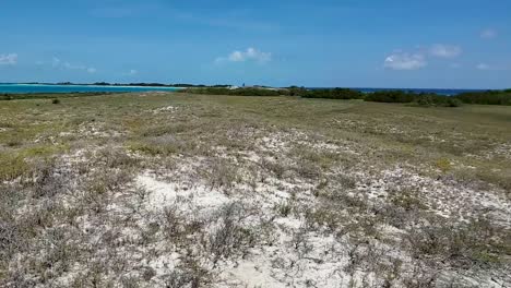 Pan-right-scenic-cayo-de-agua-island-sea,-palms,-beach-grass-on-white-sand-beach