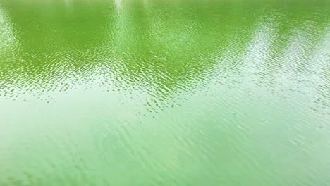 Green-lake-water-as-background-with-ripples
