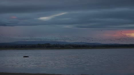 Zugvögel-über-Einem-See-Während-Eines-Bewölkten-Sonnenuntergangs