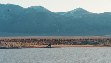 Flock-of-birds-above-lake-with-distant-off-grid-camper-in-wild-California