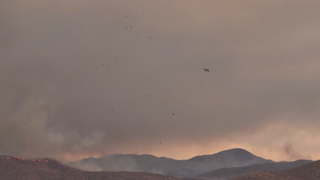 Vögel-Und-Ein-Flugzeug-über-Einem-Waldbrand