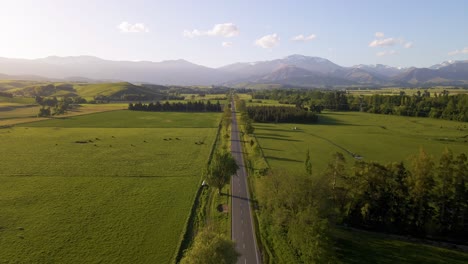 Straight-road-leading-through-fields-of-green-with-livestock-at-the-foothills-of-New-Zealand's-alps