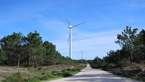 Distant-shot-of-single-wind-turbine-spinning-with-blue-sky-and-pine-forest-either-side-of-road-below-and-power-lines