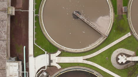 Aerial-shot-traveling-over-a-vast-sewage-processing-plant-while-hundreds-of-seagulls-fly-around-searching-for-scraps