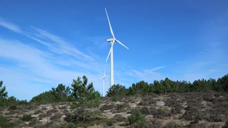 Two-wind-power-turbines-spinning-in-the-sunshine-with-pine-trees-and-ground-in-foreground