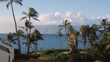 Palm-Trees-Swaying-in-Hawaiin-Breeze-with-West-Maui-Mountain-Peak-in-background,-Hawaii,-Wide