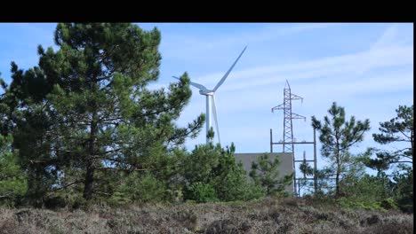 Spinning-wind-turbines-and-power-lines-with-pine-trees-in-foreground