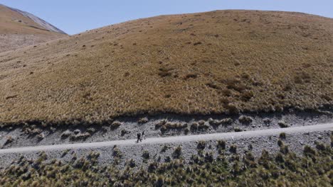 three-guys-walking-up-narrow-dirt-road-in-the-foothills-of-New-Zealand's-southern-alps-on-a-sunny-spring-day