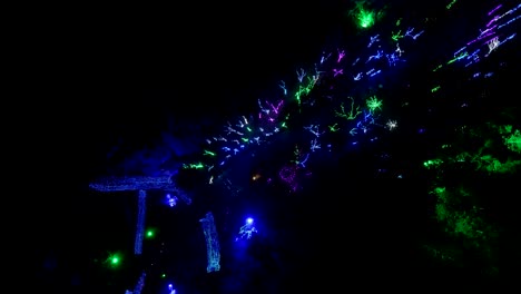 Christmas-lights-along-a-garden-park-walkway---straight-down-aerial-spin