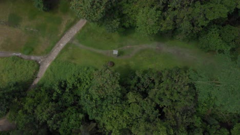 4k-Drohne-Grüner-Waldkorridor-Wandern