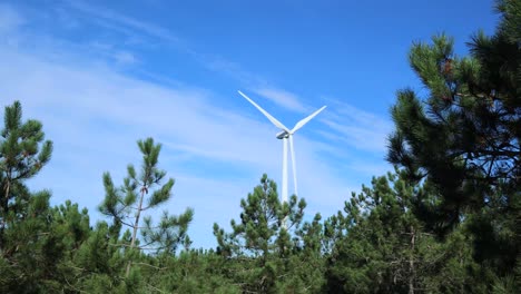 Spinning-wind-turbine-with-green-pine-trees-in-foreground