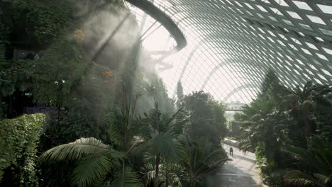 Indoor-video-of-the-large-Gardens-by-the-Bay-complex-in-Singapore