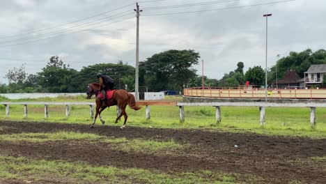 Die-Jockeys-Trainieren-Ihre-Pferde,-Um-Sich-Auf-Pferderennen-Auf-Der-Strecke-Vorzubereiten