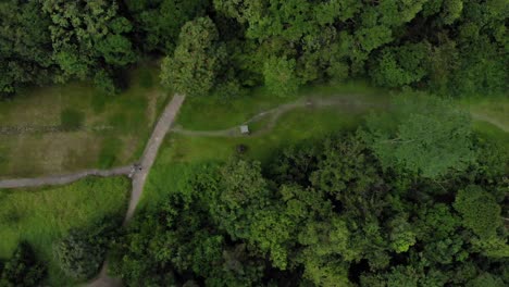 4k-Drone-Verde-Bosque-Corredor-Arriba-Vista-De-Pájaro
