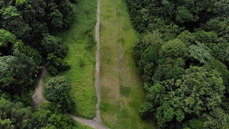 4k-Drohne-Grüner-Waldkorridor-Enthüllt