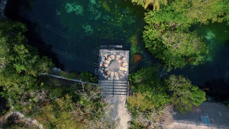 Luftaufnahme-Aus-Der-Vogelperspektive-Von-Yogamatten,-Die-In-Einem-Kreis-Neben-Der-Cenote-An-Der-Riviera-Maya-Platziert-Sind